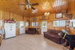 46445 250th St, Gaylord, MN 55334 - Photo 38
