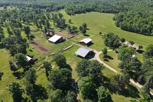 28419 220th St, Shevlin, MN 56676 - Photo 56