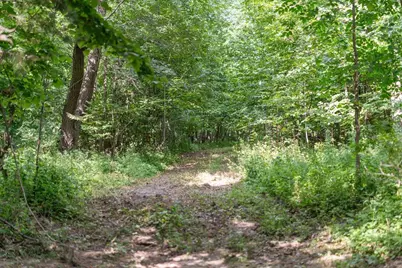 [Address not provided], Stockholm, WI 54769 - Photo 54