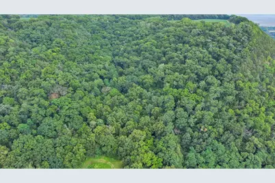 [Address not provided], Stockholm, WI 54769 - Photo 66