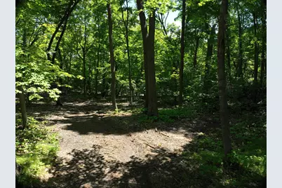 Lot 6 West Lake Olaf Road, Pelican Rapids, MN 56572 - Photo 22