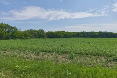 Tbd Ingram Avenue SW, Howard Lake, MN 55349 - Photo 4