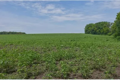 Tbd Ingram Avenue SW, Howard Lake, MN 55349 - Photo 10