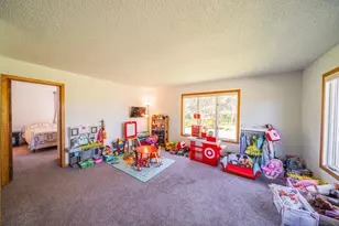 16297 360 Ave, Frazee, MN 56544 - Photo 12