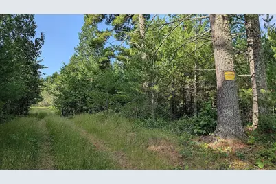 7952 Highway 24, Orr, MN 55771 - Photo 4