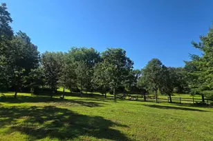 26722 825th Ave, Hollandale, MN 56045 - Photo 16