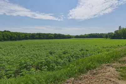 Tbd2 Ingram Avenue SW, Howard Lake, MN 55349 - Photo 6