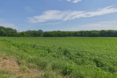Tbd2 Ingram Avenue SW, Howard Lake, MN 55349 - Photo 4