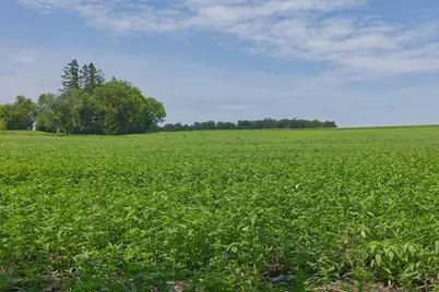 Tbd3 Ingram Avenue SW, Howard Lake, MN 55349 - Photo 8