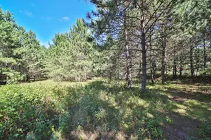 16310 Pristine Pine Ct, Brainerd, MN 56401 - Photo 54
