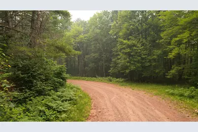 Tbd N Loop Road, Drummond, WI 54832 - Photo 2