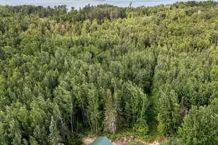 45649 Bowstring D1, Deer River, MN 56636 - Photo 36