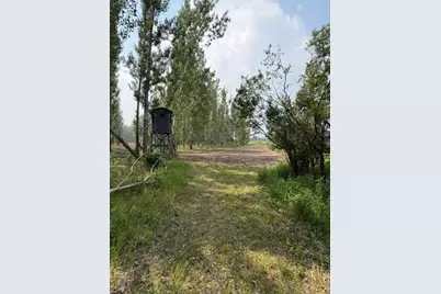 Xxx County Rd 26, Verndale, MN 56481 - Photo 14