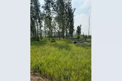 Xxx County Rd 26, Verndale, MN 56481 - Photo 6