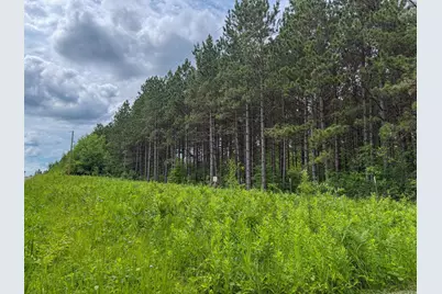 80 Acres Pike Bay Loop Road NW, Cass Lake, MN 56633 - Photo 22