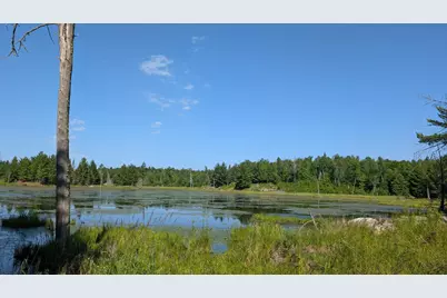Tbd Hwy. 24, Orr, MN 55771 - Photo 6