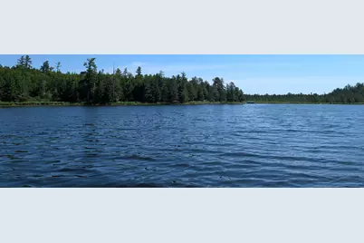Tbd Hwy. 24, Orr, MN 55771 - Photo 8