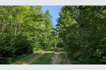 Tbd Hwy. 24, Orr, MN 55771 - Photo 4