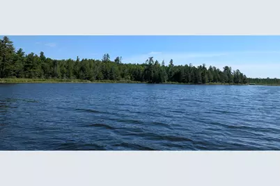 Tbd Hwy. 24, Orr, MN 55771 - Photo 1