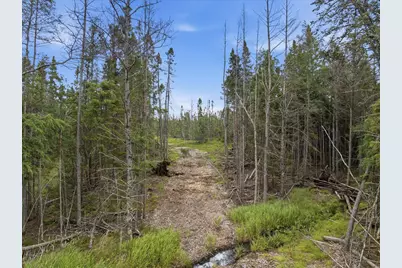 11352 Highway 2, Swan River, MN 55736 - Photo 4
