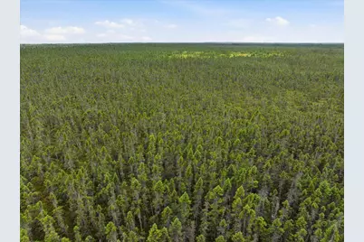 11352 Highway 2, Swan River, MN 55736 - Photo 24