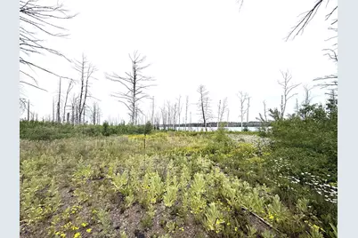 2377 N McDougal Lane, Isabella, MN 55607 - Photo 8