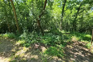 30410 Oak Ln, Cannon Falls, MN 55009 - Photo 46