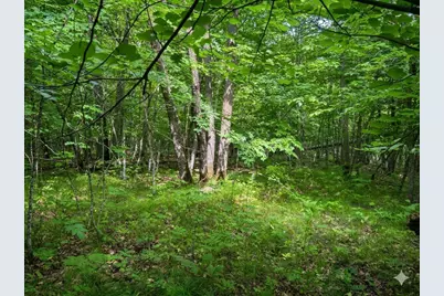 Xxx 400th Street, Waubun, MN 56589 - Photo 6