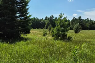 Tbd Lara Rd, Grantsburg, WI 54840 - Photo 12