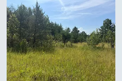 Abc County 2, Nevis, MN 56467 - Photo 12