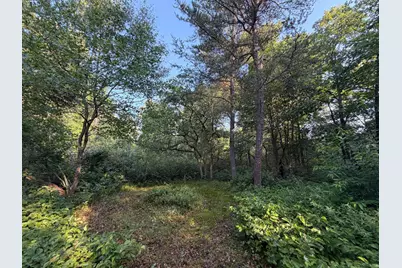 Xxxxx Volkmann Lane, Grantsburg, WI 54840 - Photo 2