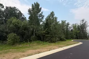 Lot 1 Block 2 Edien Dr, Cook, MN 55723 - Photo 1