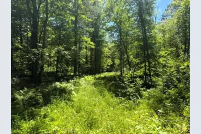 Tbd River Lane, Fifty Lakes, MN 56448 - Photo 12