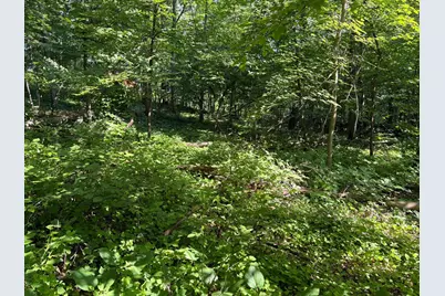 320th 320th Street, Browerville, MN 56438 - Photo 16