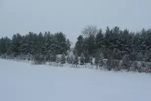 2989 140th St E, Dundas, MN 55019 - Photo 130