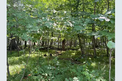 Tbd Breezy Point Boulevard, Breezy Point, MN 56472 - Photo 1
