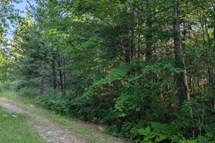 Lot B Hwy 24, Orr, MN 55771 - Photo 1