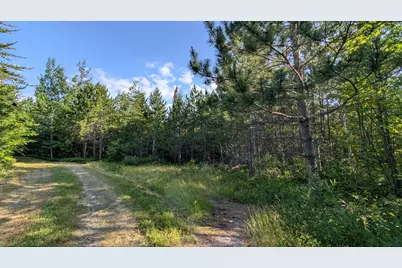 Lot B Hwy. 24, Orr, MN 55771 - Photo 8