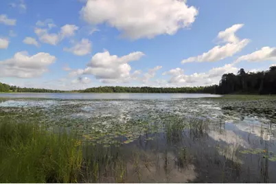 1702 Kerr Lake Drive NW, Hackensack, MN 56452 - Photo 28