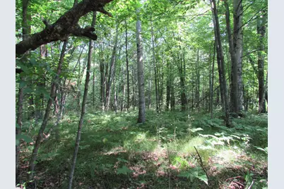 Tbd County Rd 137, Moose Lake, MN 55767 - Photo 14