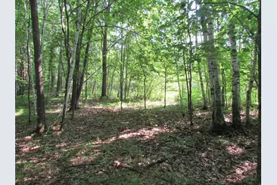 Tbd County Rd 137, Moose Lake, MN 55767 - Photo 8