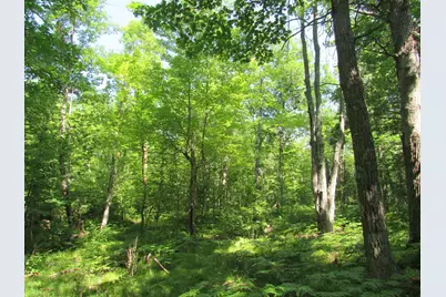 Tbd County Rd 137, Moose Lake, MN 55767 - Photo 2