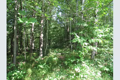 Tbd County Rd 137, Moose Lake, MN 55767 - Photo 16