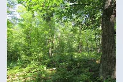 Tbd County Rd 137, Moose Lake, MN 55767 - Photo 6