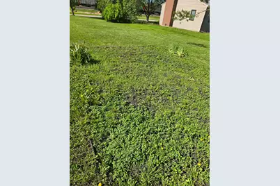 604 E Willow Avenue, Olivia, MN 56277 - Photo 14