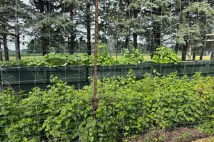 14563 125th Ave, Wadena, MN 56482 - Photo 32