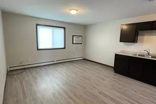 355 2nd St SE, Pine City, MN 55063 - Photo 4