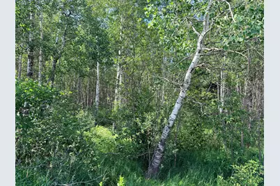 12Xxx Butterfield Road, Hibbing, MN 55746 - Photo 6