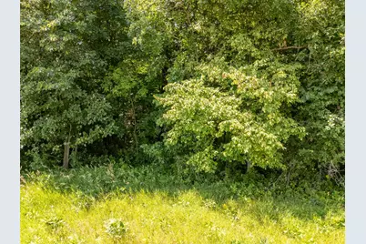 Tbd Xxx County Road 3, Eagle Bend, MN 56446 - Photo 4