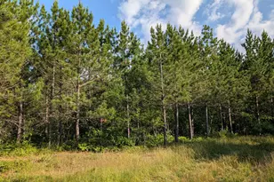Lot C Hwy 24, Orr, MN 55771 - Photo 1